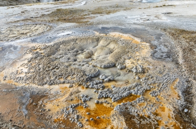 Old Faithful Geyser Area Yellowstone 2024